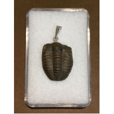 Přívěšek z trilobita